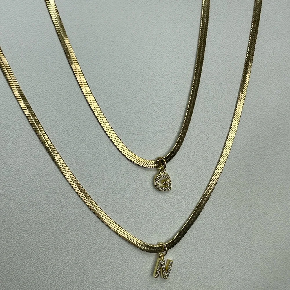 Titanium Steel and Zircon Snake Adjustable Length Necklace With Initial - Picture 4 of 6